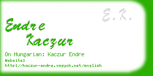endre kaczur business card